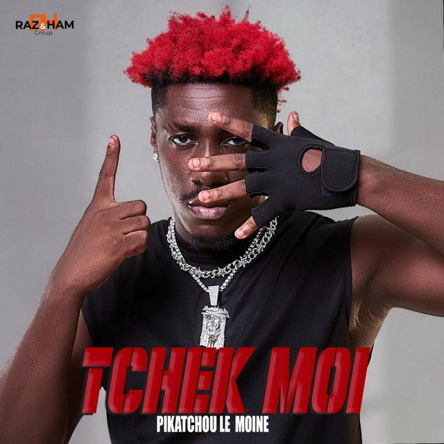 Tchek moi cover art