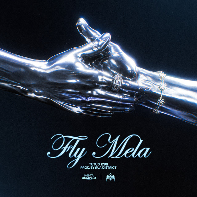 FLY MELA cover art