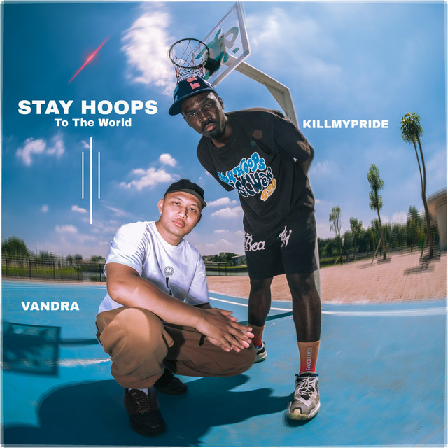 Stayhoops to the world cover art