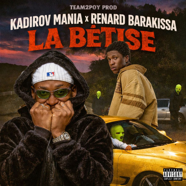 La bêtise cover art