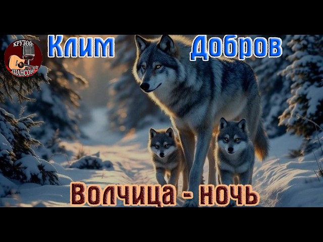Премьера! Крутой Шансон! КЛИМ ДОБРОВ _ ВОЛЧИЦА  -  НОЧЬ cover art