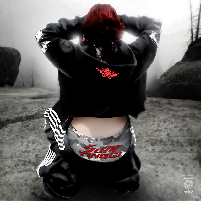 S cover art