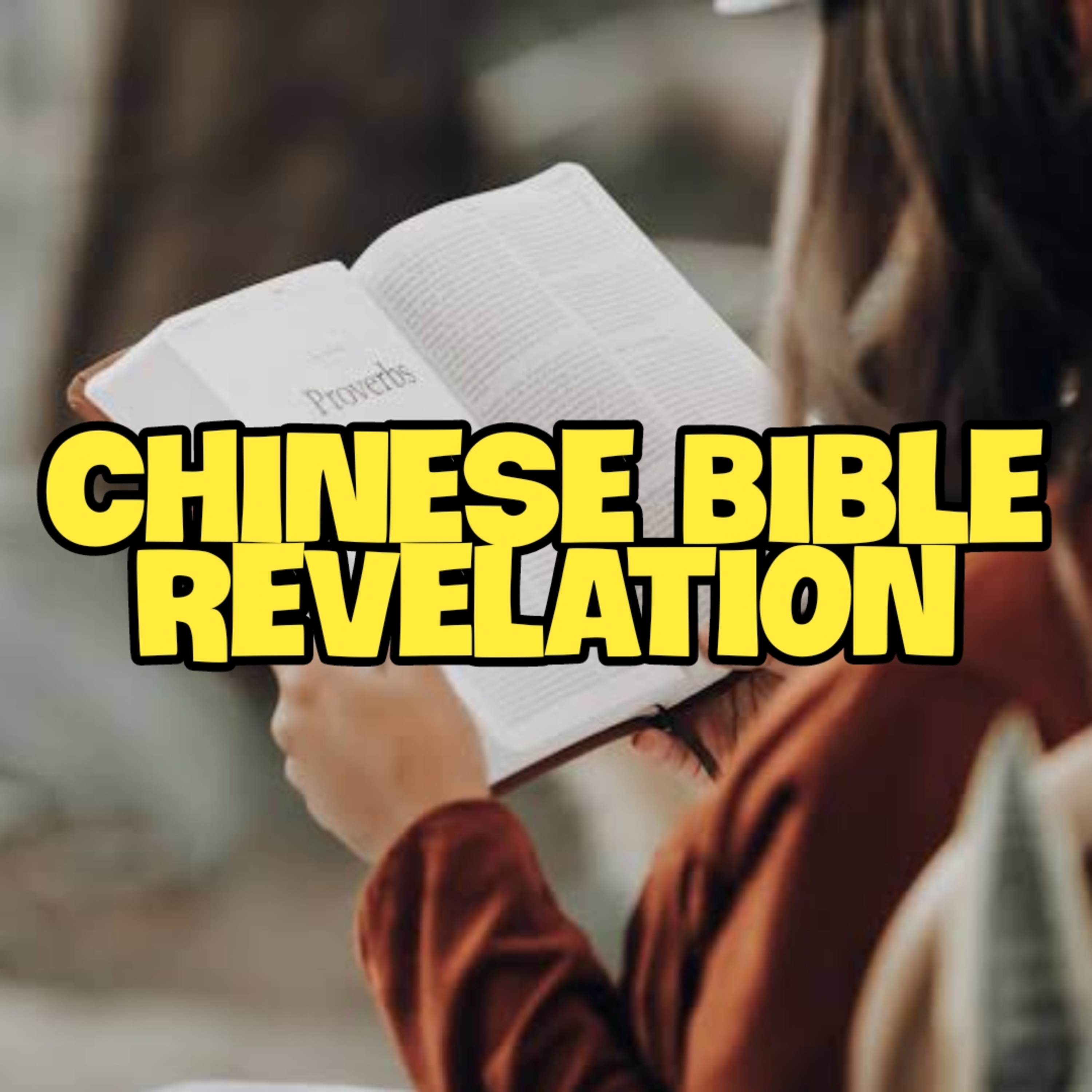 CHINESE BIBLE | REVELATION cover art