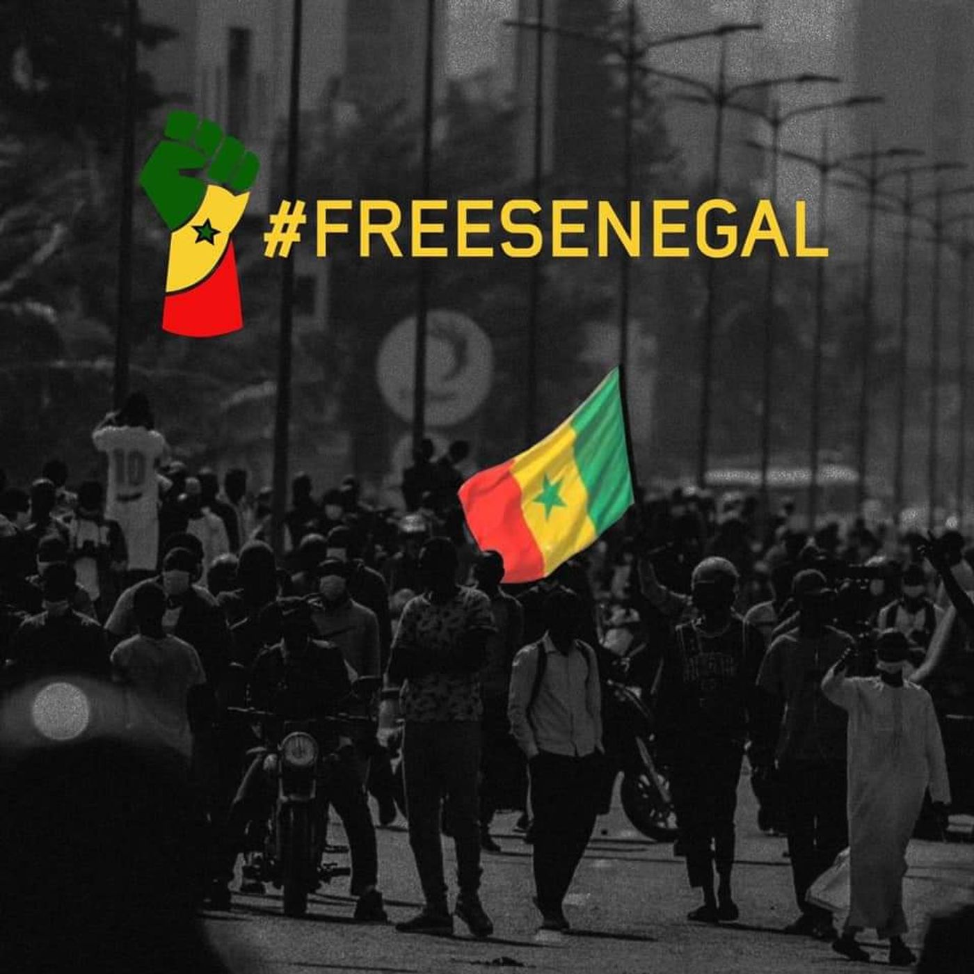 Senegal Dal cover art