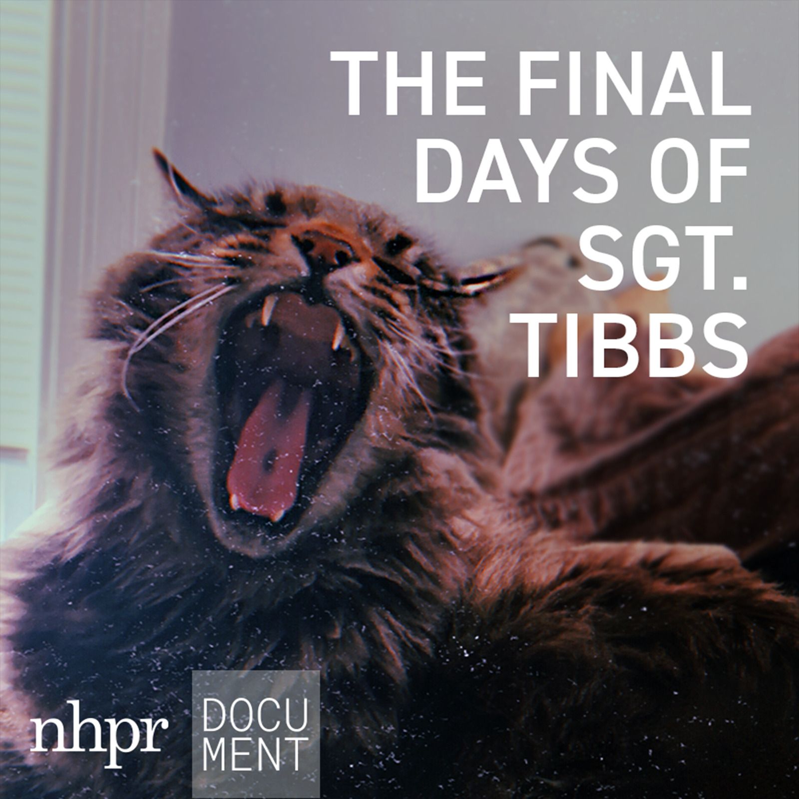 Introducing: The Final Days of Sgt. Tibbs cover art