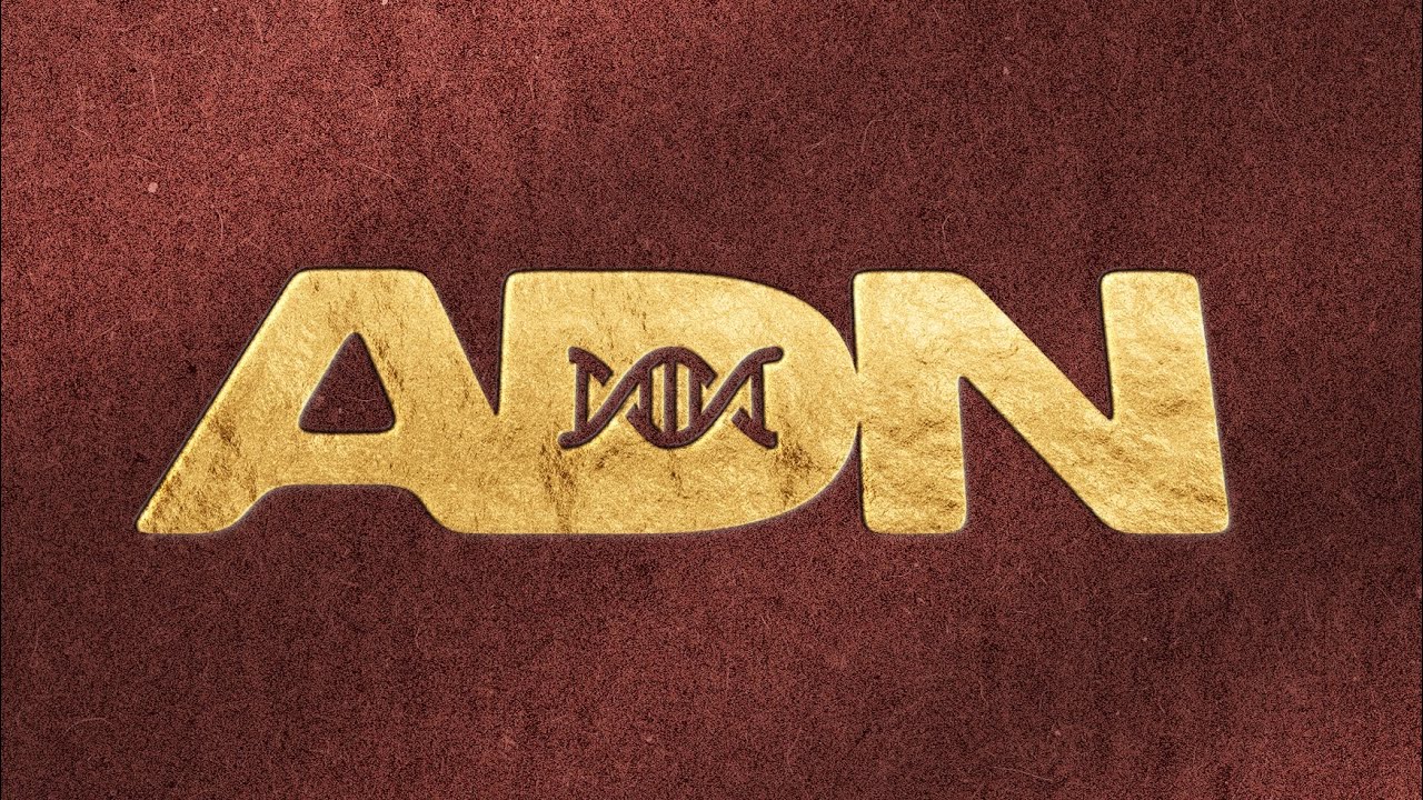 Le Téléchargement est complet : ADN mon 2e Album arrive en octobre cette année cover art