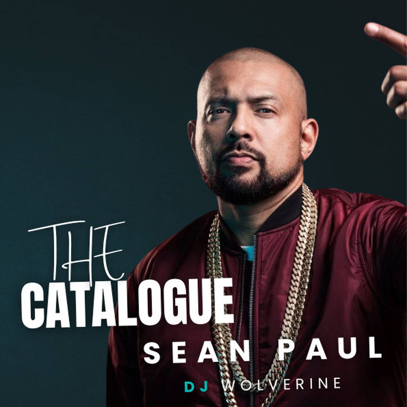 THE CATALOGUE; Sean Paul - Reggae, Dancehall & Pop Music Mix | DJ Wolverine cover art