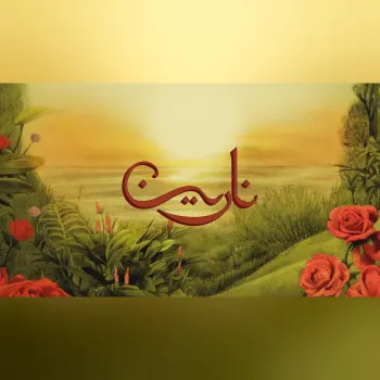 نارين cover art