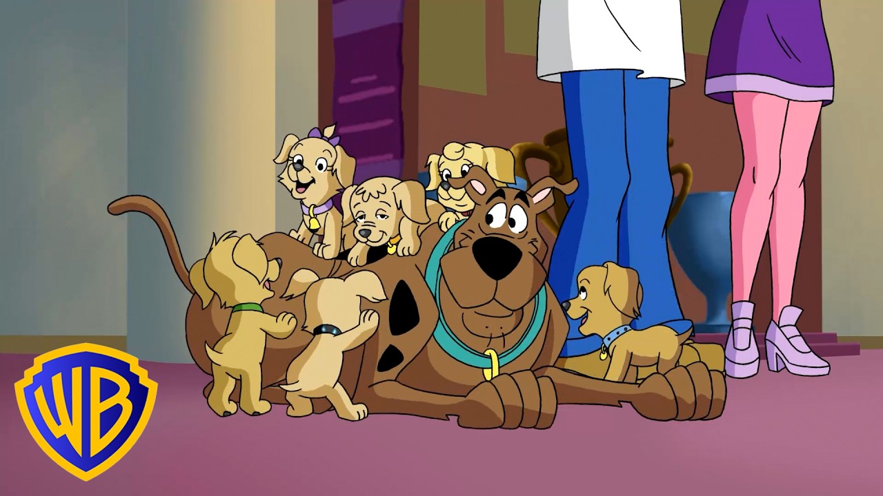 Who Let the Dogs Out?! 🐕😱 | What's New, Scooby-Doo? | @wbkidsu200b cover art