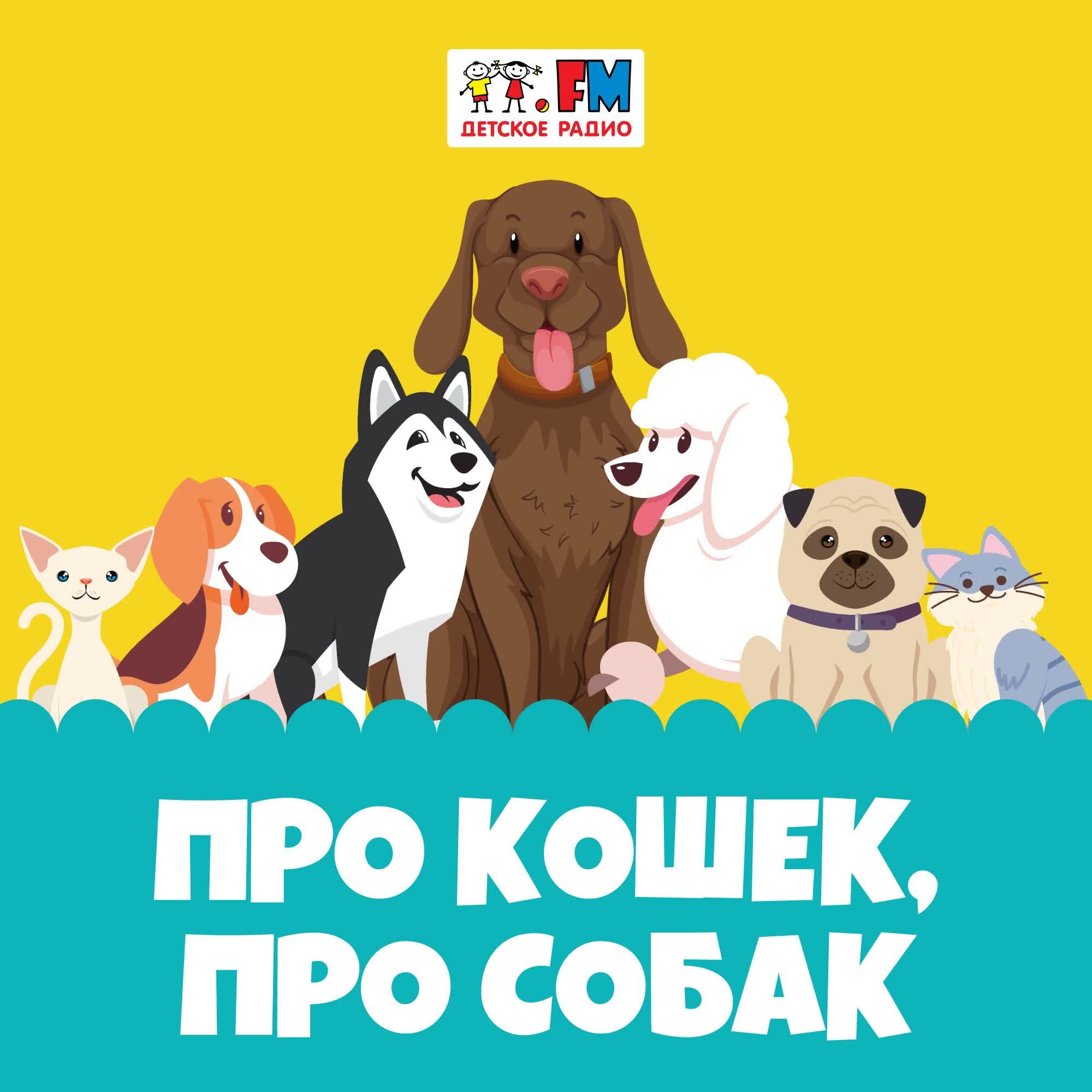 Про кошек, про собак - Есть ли у животных хобби?