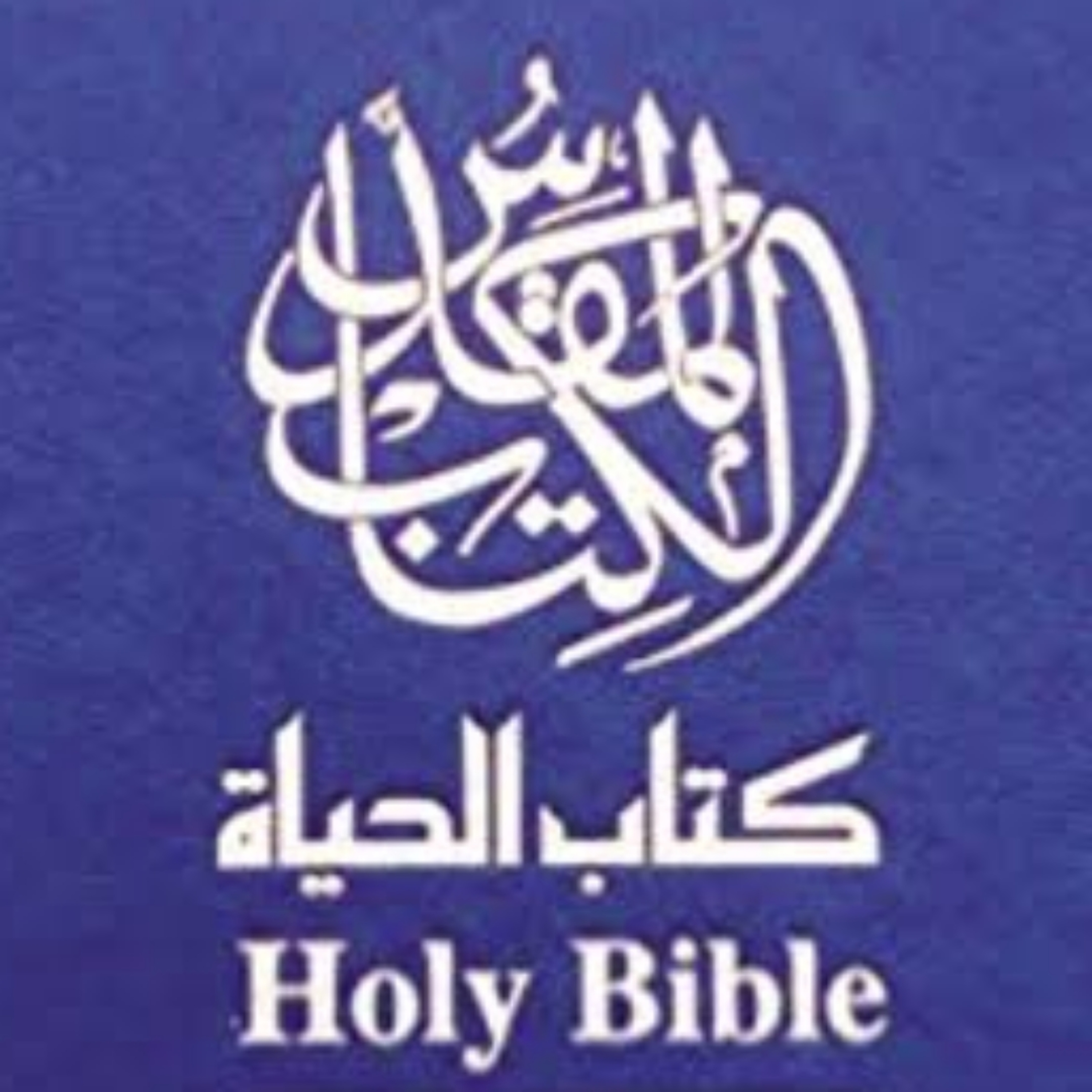 ARABIAN HOLY BIBLE cover art