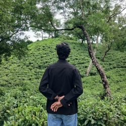 author avatar