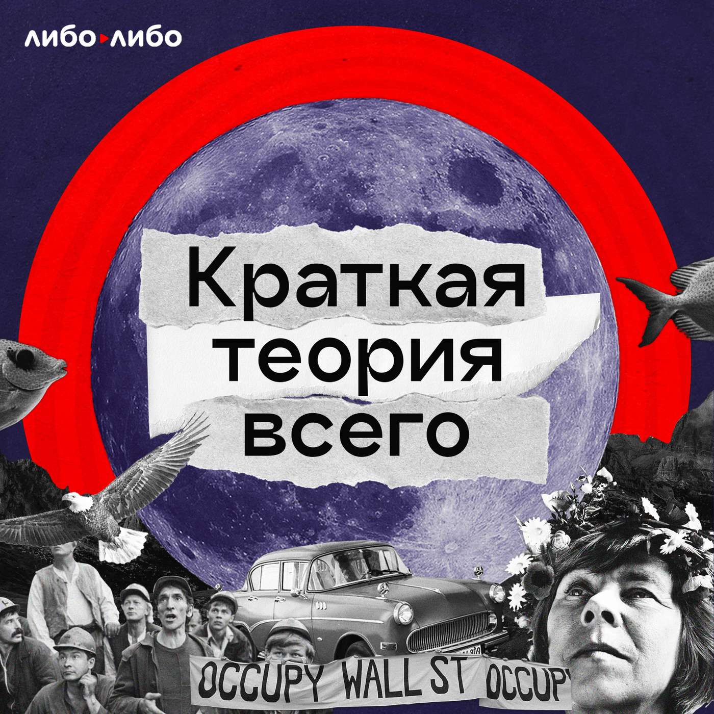 Краткая теория всего cover art