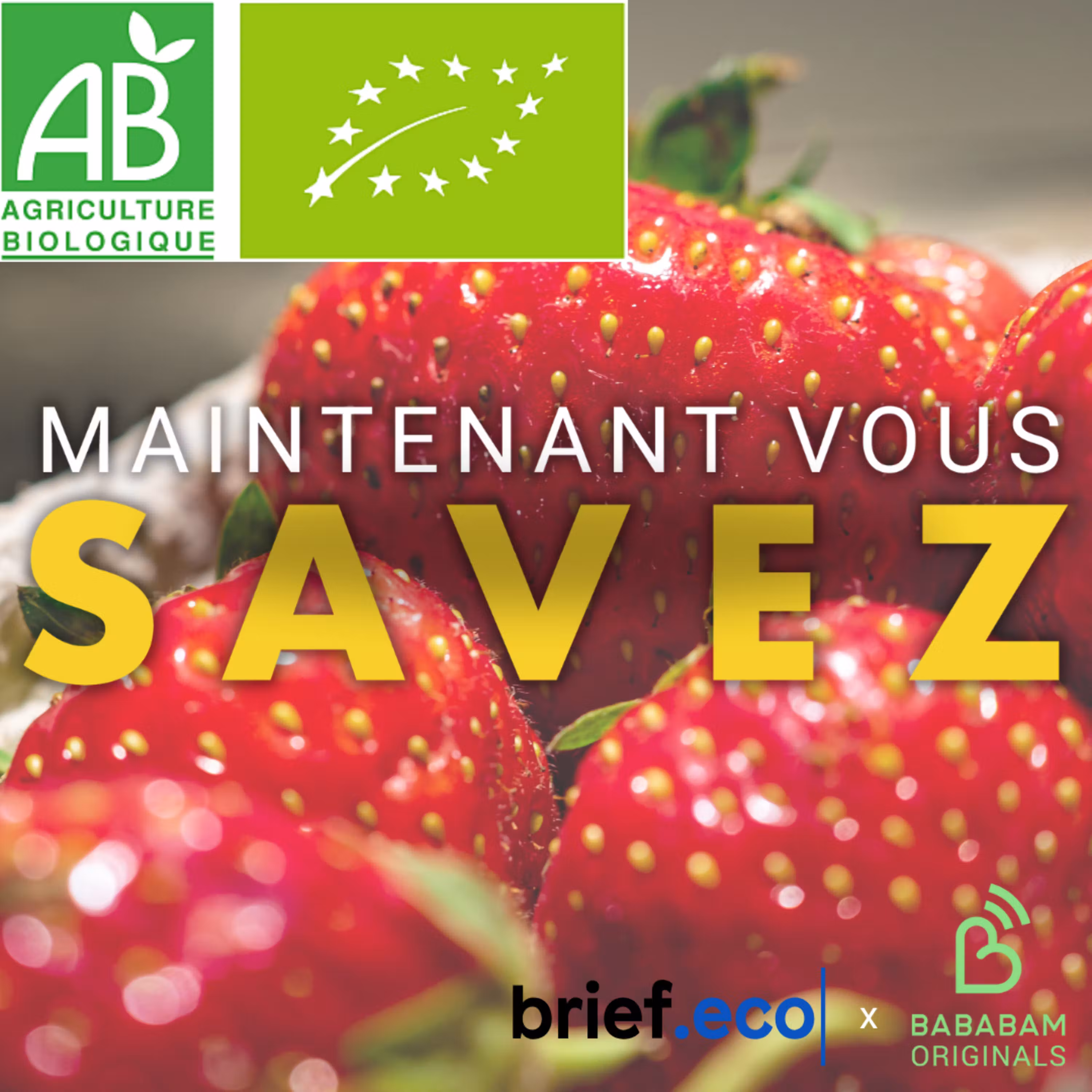 Quelle a été la première enseigne de produits bio créée en France ? cover art