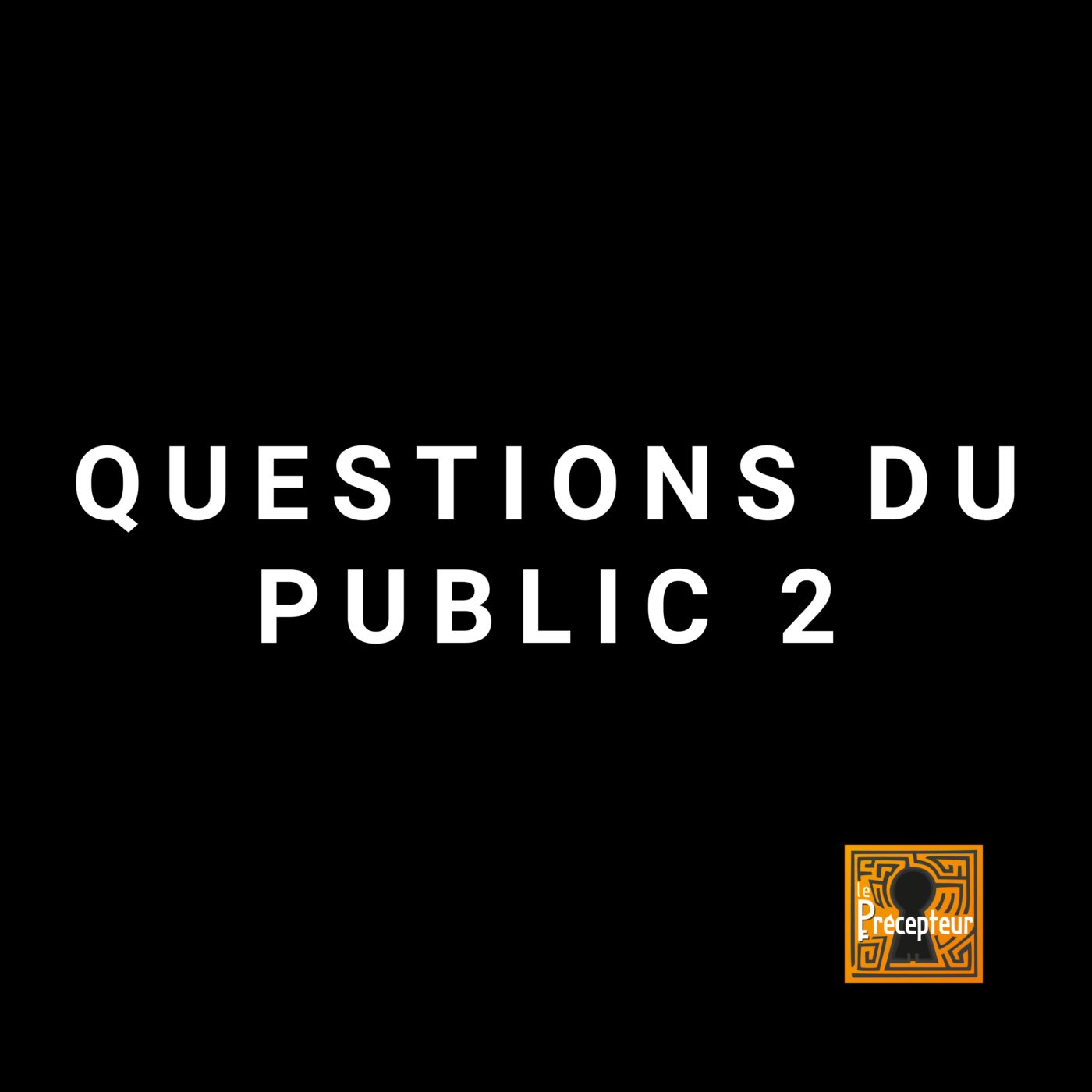 đ Questions du public 2