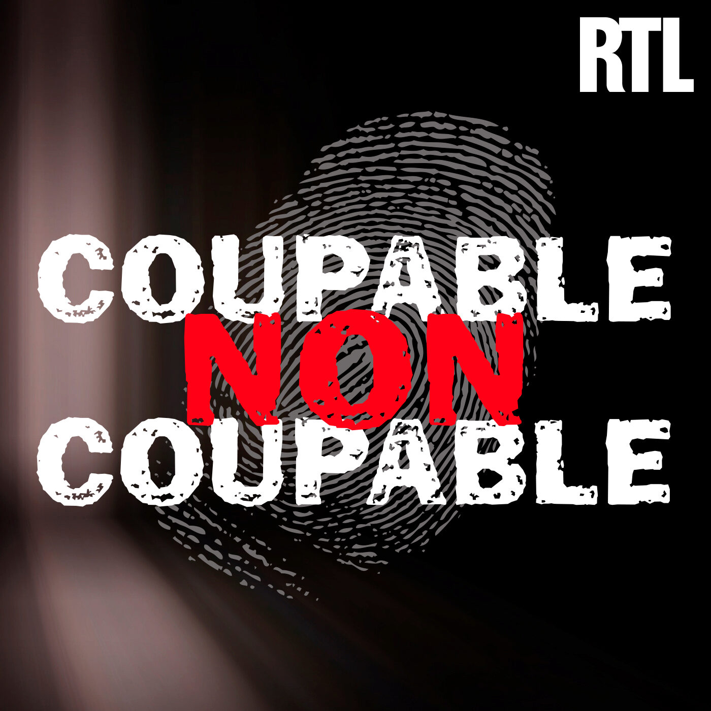 Meurtre de Sandrine Cordon : trois accusés et une énigme (4/4) cover art