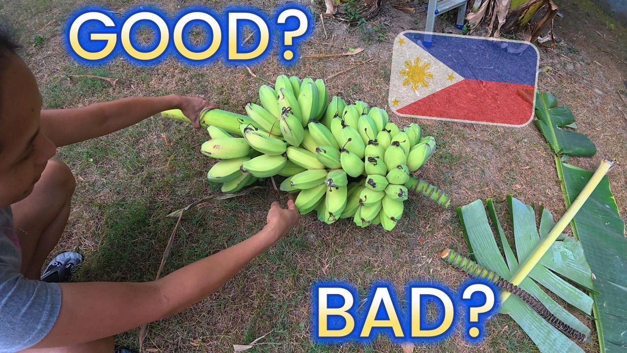 The Last Bananas Were Bad... Letās See What We Got This Time! cover art