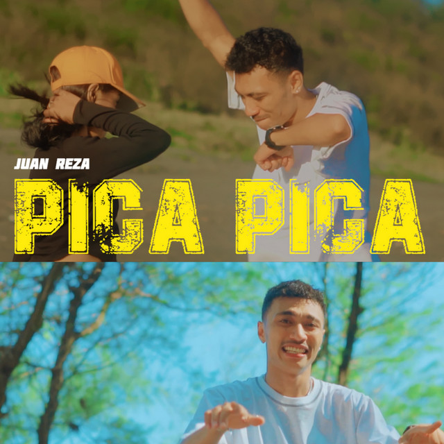 PICA PICA cover art
