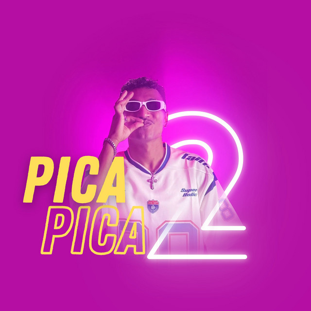 Pica Pica 2 cover art
