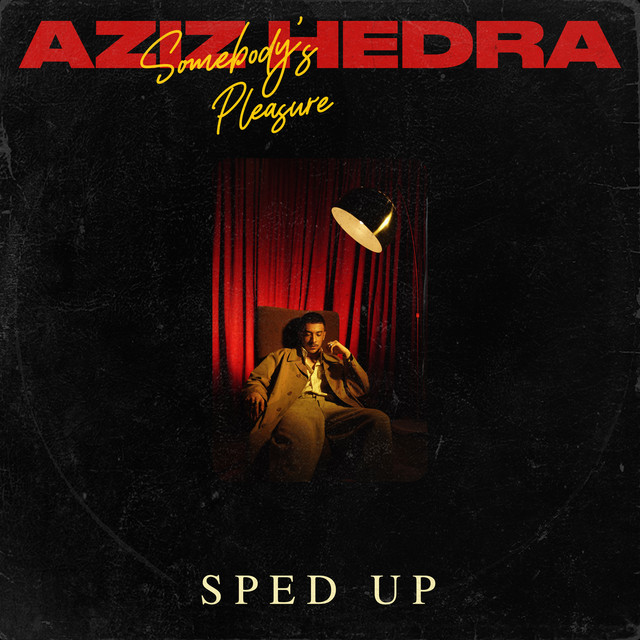 Somebody's Pleasure - Sped Up cover art