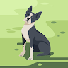 author avatar