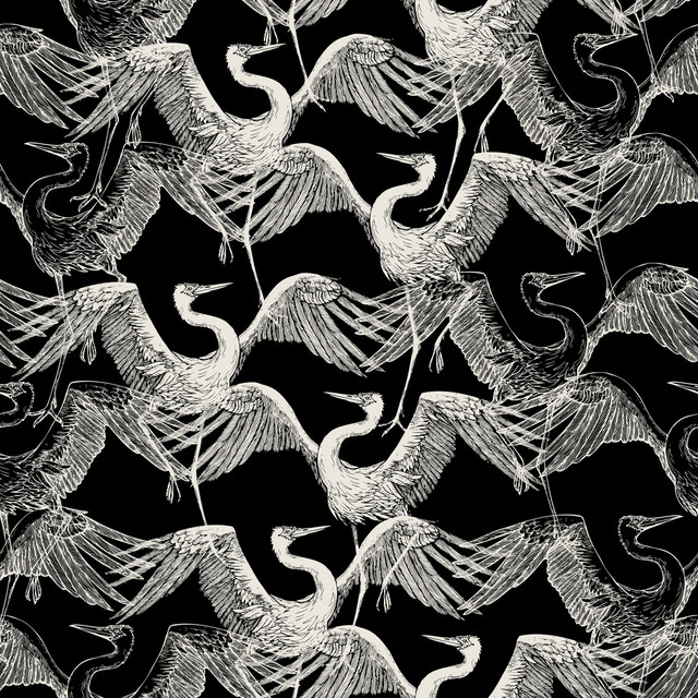 Ankara cover art