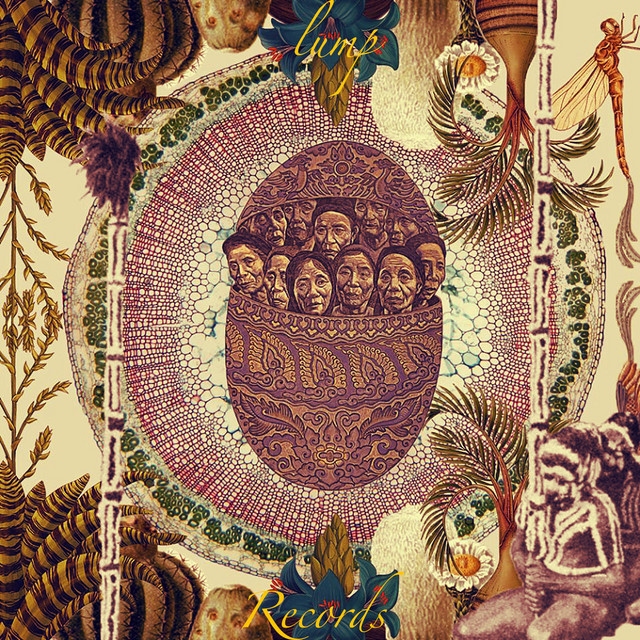 Mira La Luna cover art