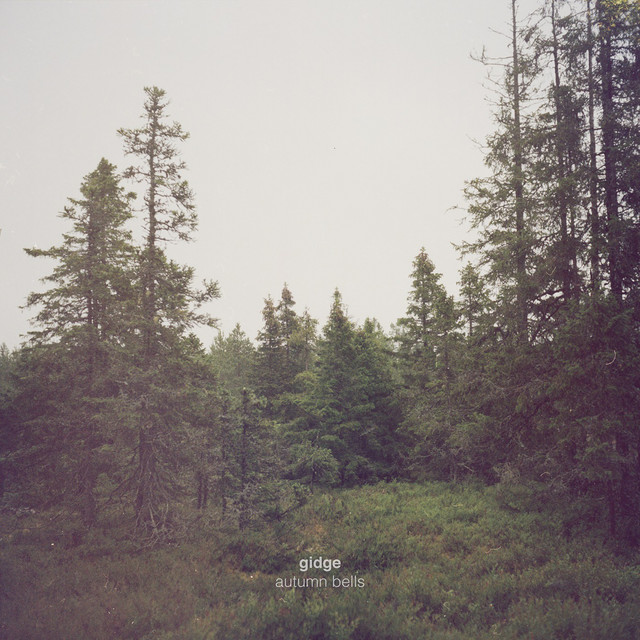Dusk cover art