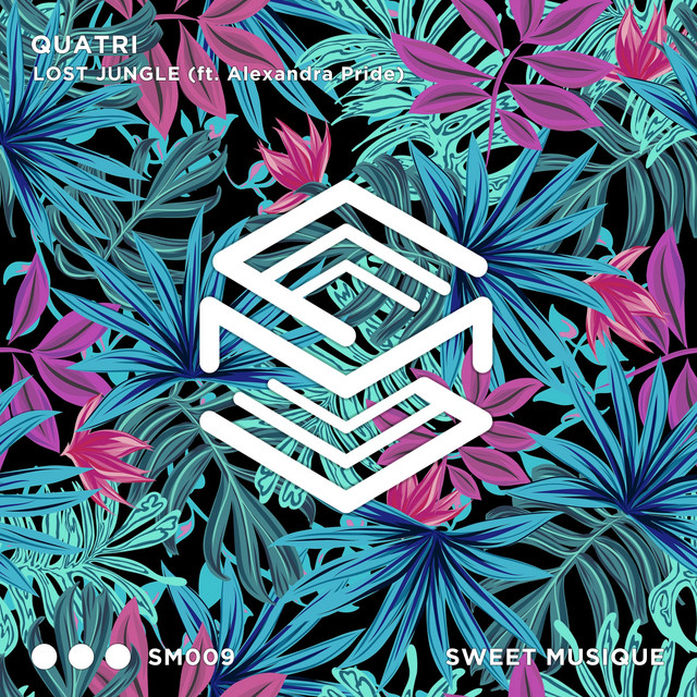 Lost jungle - Original Mix cover art
