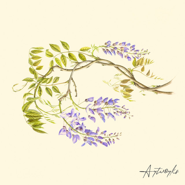 Farsha cover art
