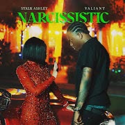 Narcissistic cover art