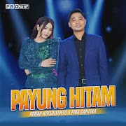 Payung Hitam