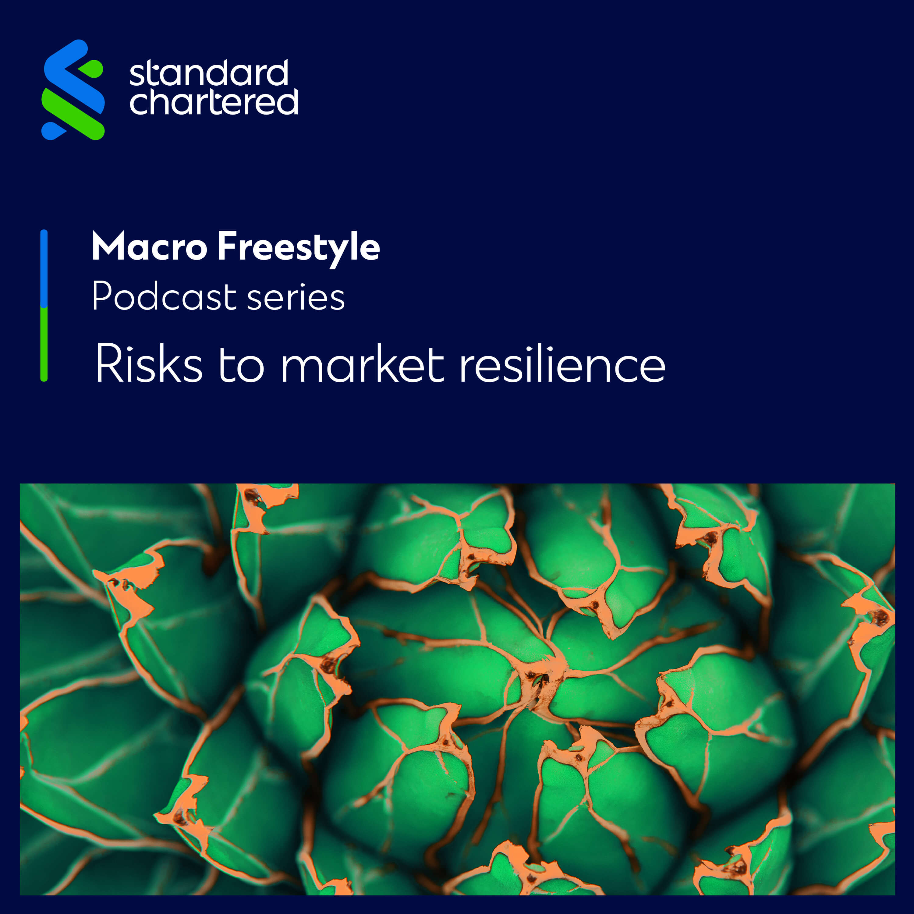 Macro Freestyle – Risks to market resilience