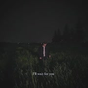 i'll wait for you cover art