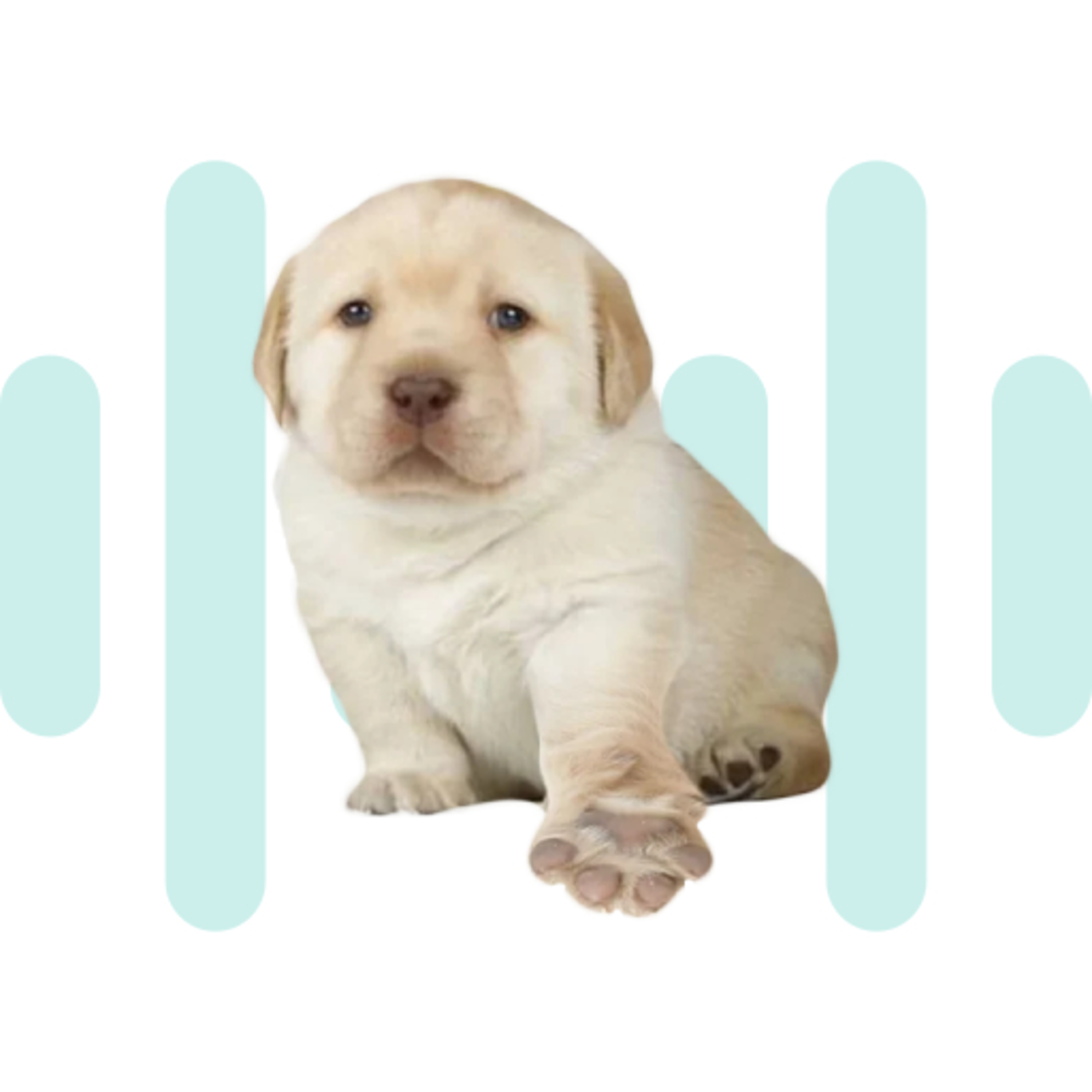 Puppy SoundBoard cover art