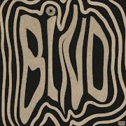 Blind