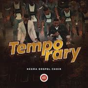 Temporary (Live) cover art