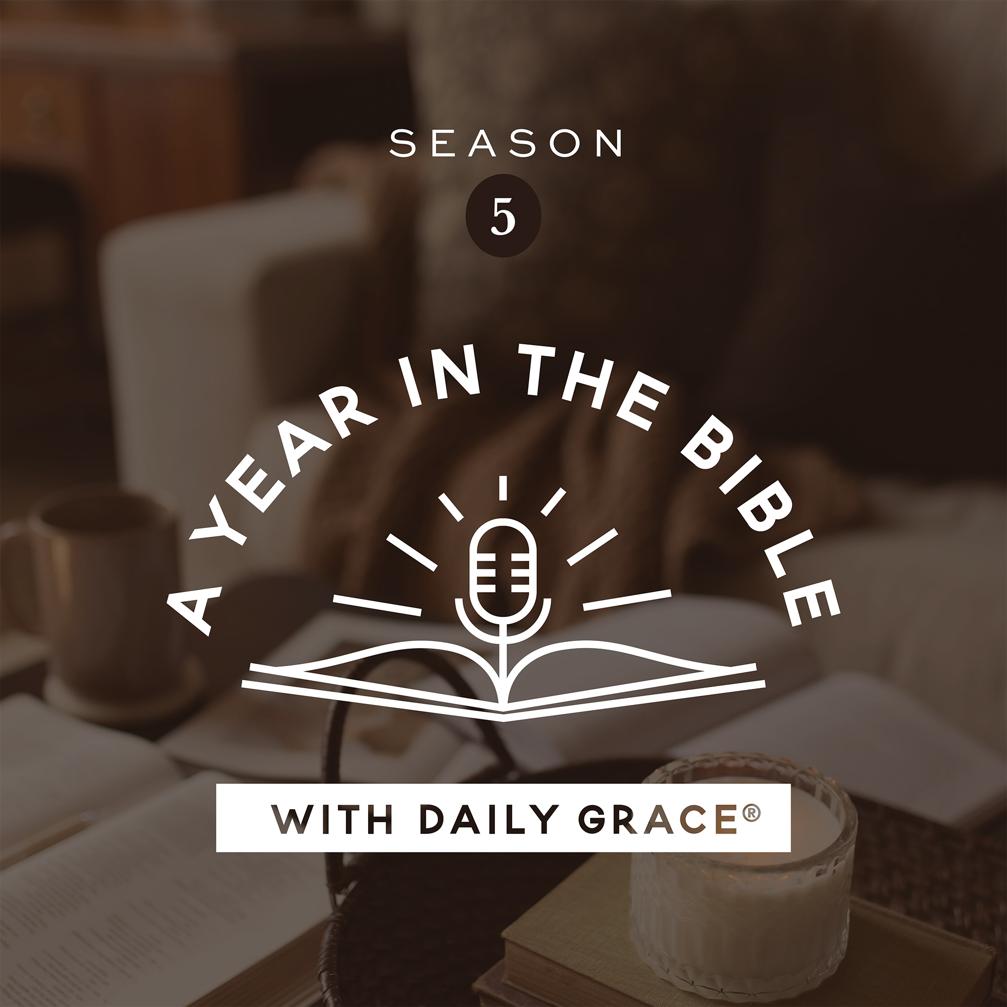 A Year in the Bible with Daily Grace cover art