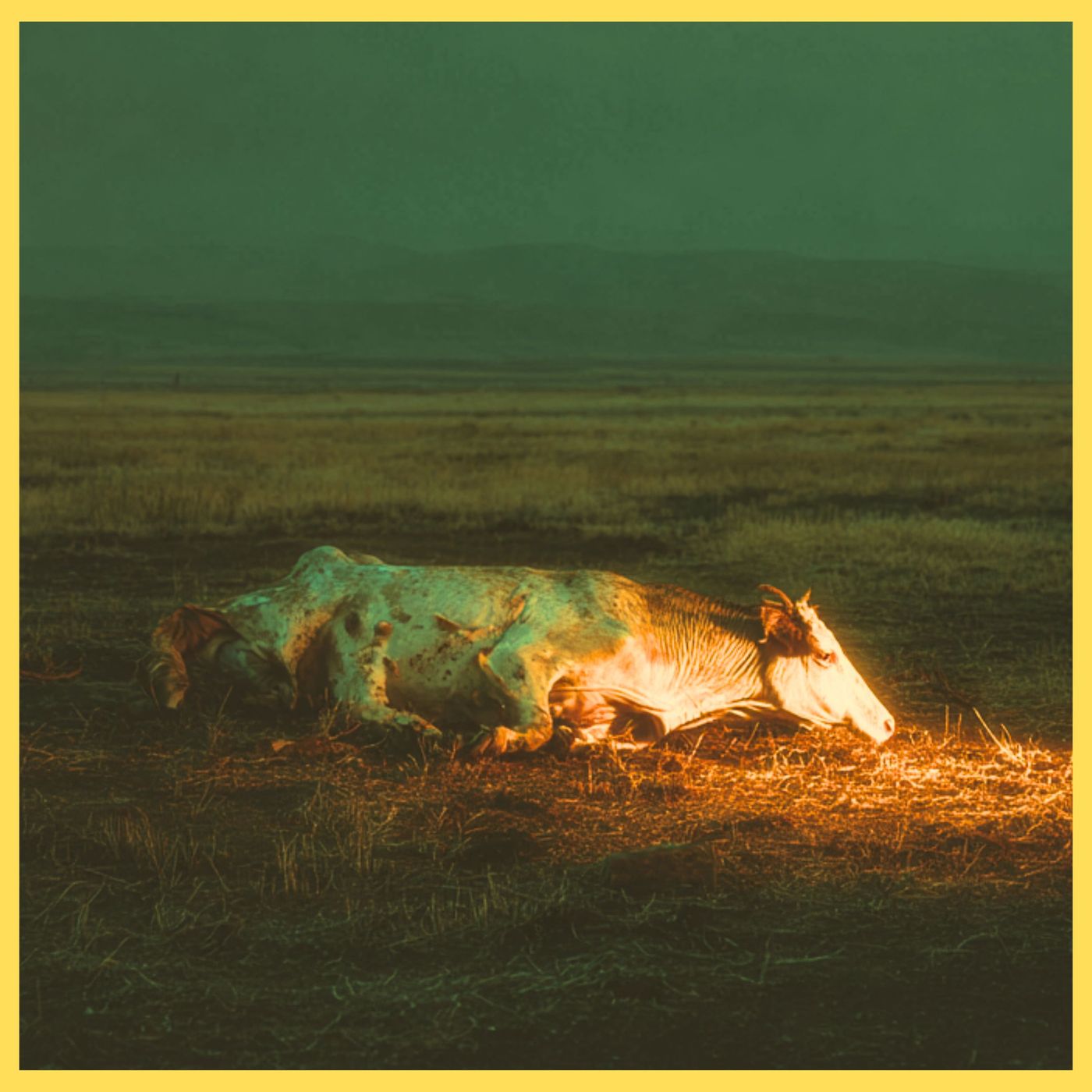 Silent Fields: The Horror of Oregon’s Ranchlands cover art