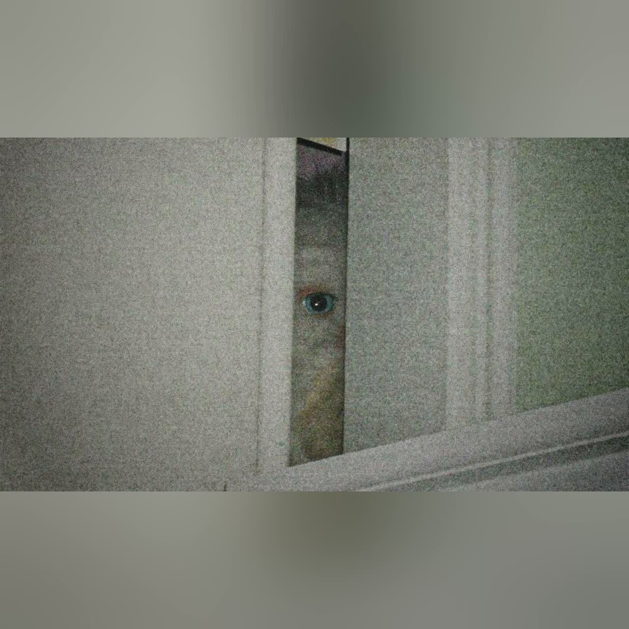 2 Hours of Horrifying Reddit Stories cover art