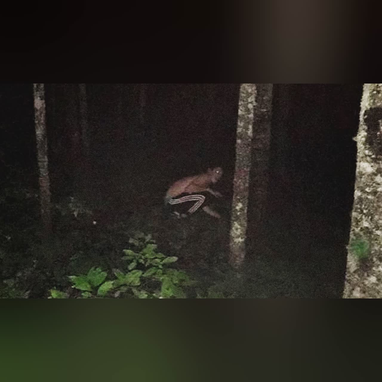 Horrifying Search and Rescue Reddit Stories cover art