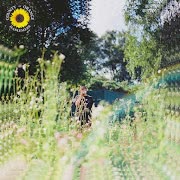 Sunflower cover art
