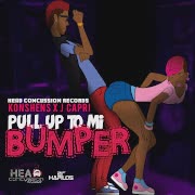 Pull up to Mi Bumper cover art