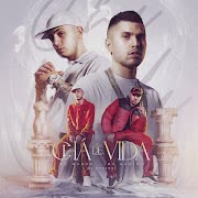 Chá de Vida cover art