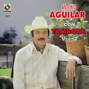 Un Puño De Tierra cover art