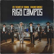 Rigo Campos