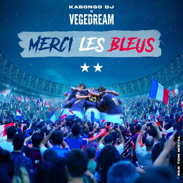 Merci les bleus cover art