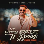 Nunca Supiste Que Te Esperé cover art