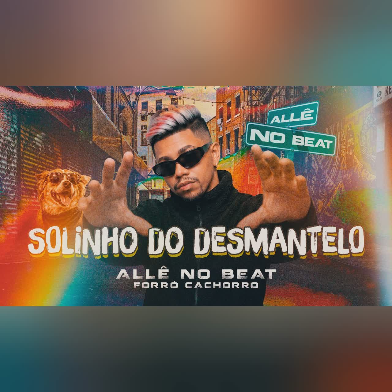 Solinho do Desmantelo cover art