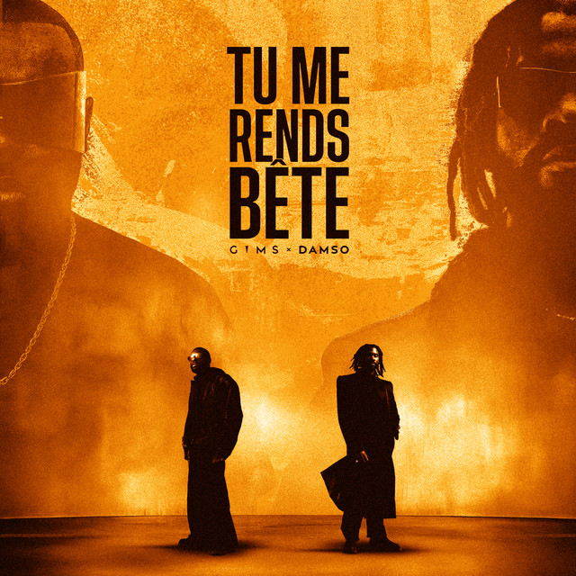 TU ME RENDS BÊTE